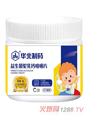 �A����ˎ����������}�׽�Ƭ