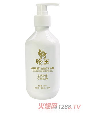 ���������ԡ¶